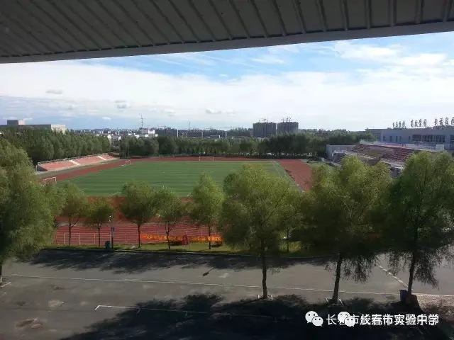 篮球周期训练计划方案设计_0